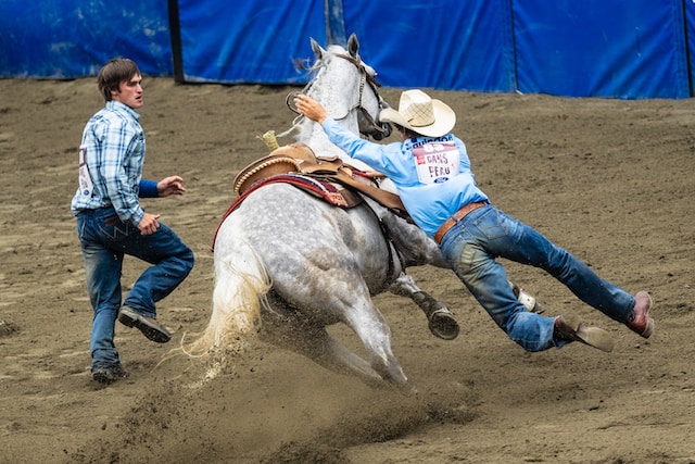 rodeo-horse-and-rider-enhances-user experience.jpg