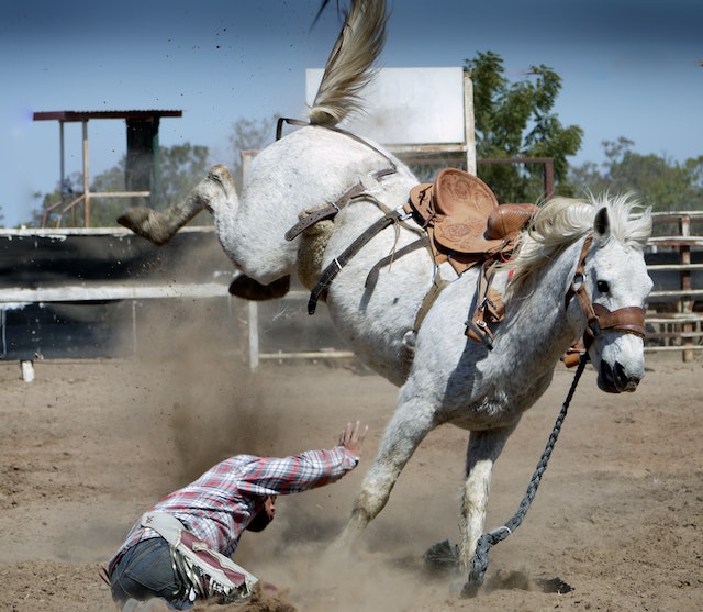 rodeo-rider-professional-looking-website.jpg
